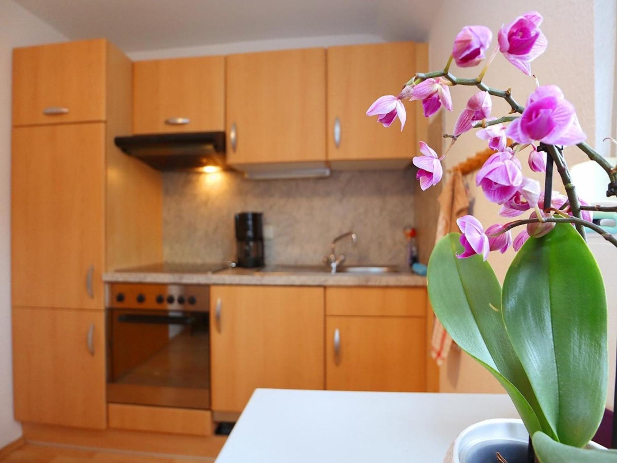 Cozy Apartment In Schwenningen With Garden วิลลิงเงน-ชเวนนิงเงน ภายนอก รูปภาพ