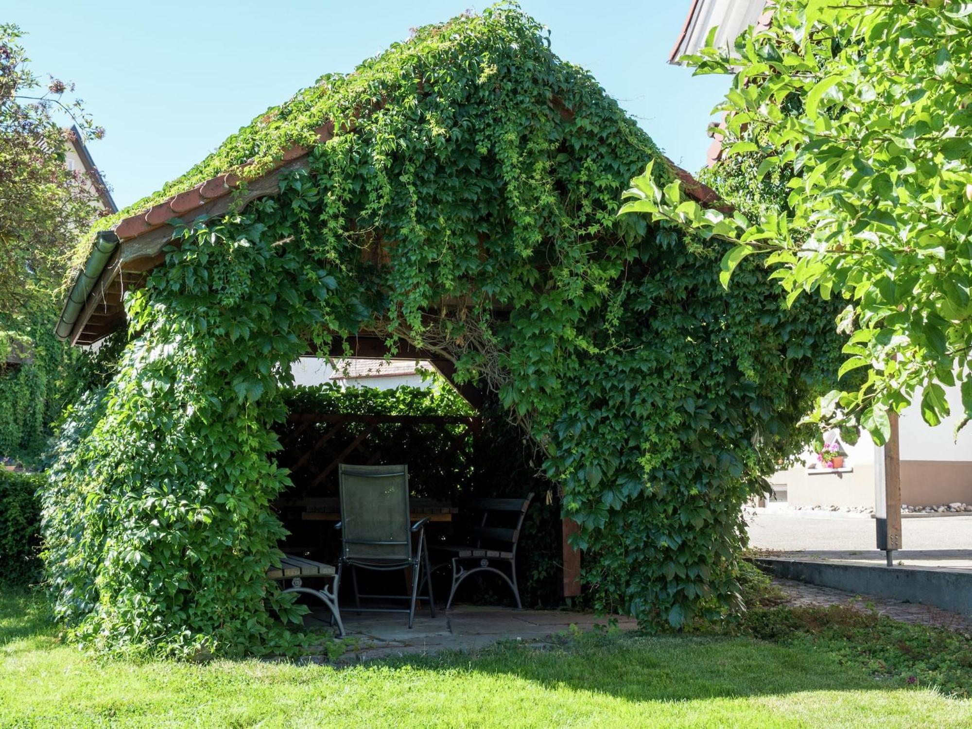 Cozy Apartment In Schwenningen With Garden วิลลิงเงน-ชเวนนิงเงน ภายนอก รูปภาพ